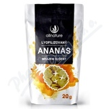 Allnature Ananas suen mrazem kousky 20 g