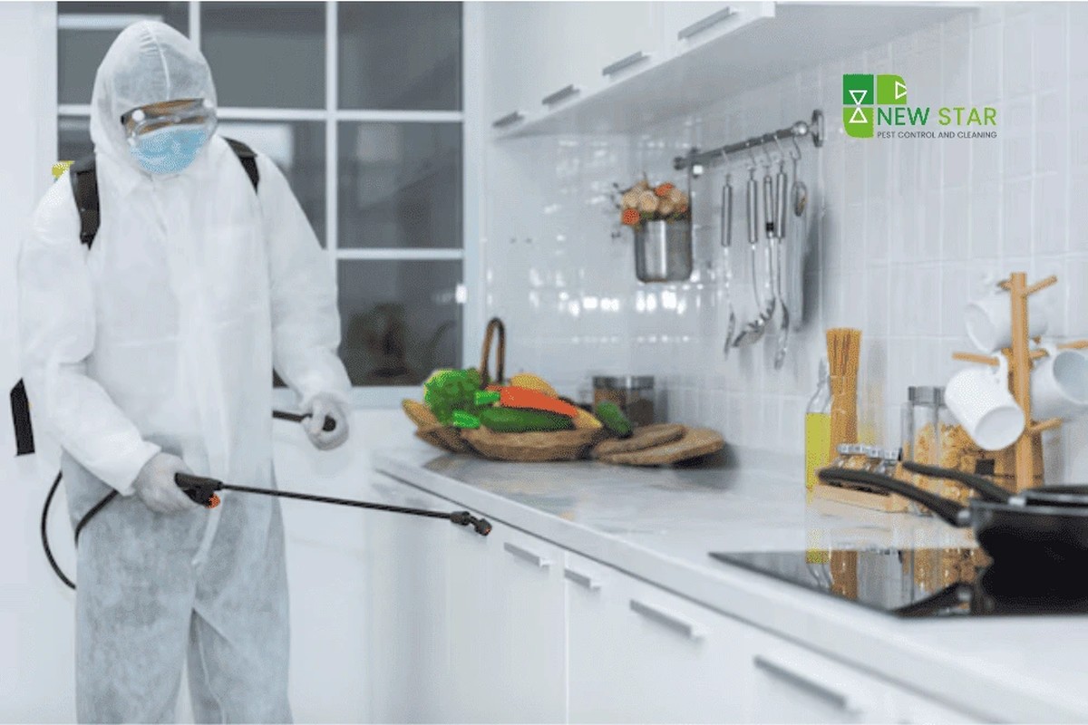 Bobkový list v mouce zabrání molům: trik starých babiček, který funguje - image 2