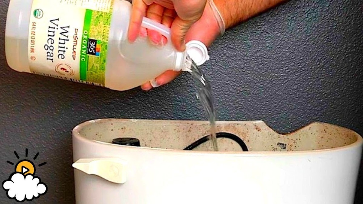 Soda do záchodové mísy a nebudete věřit, co se stane za 20 minut - image 1