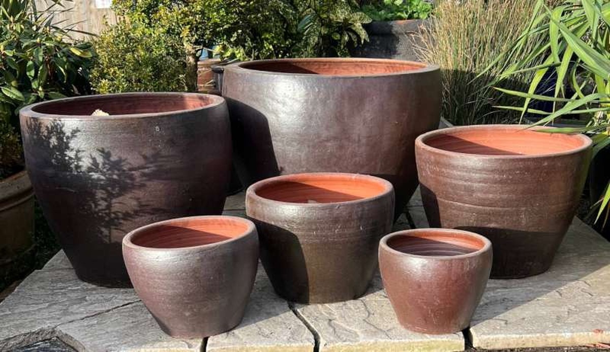 Sůl v hrncích na květiny? Genialita proti plísním - image 1