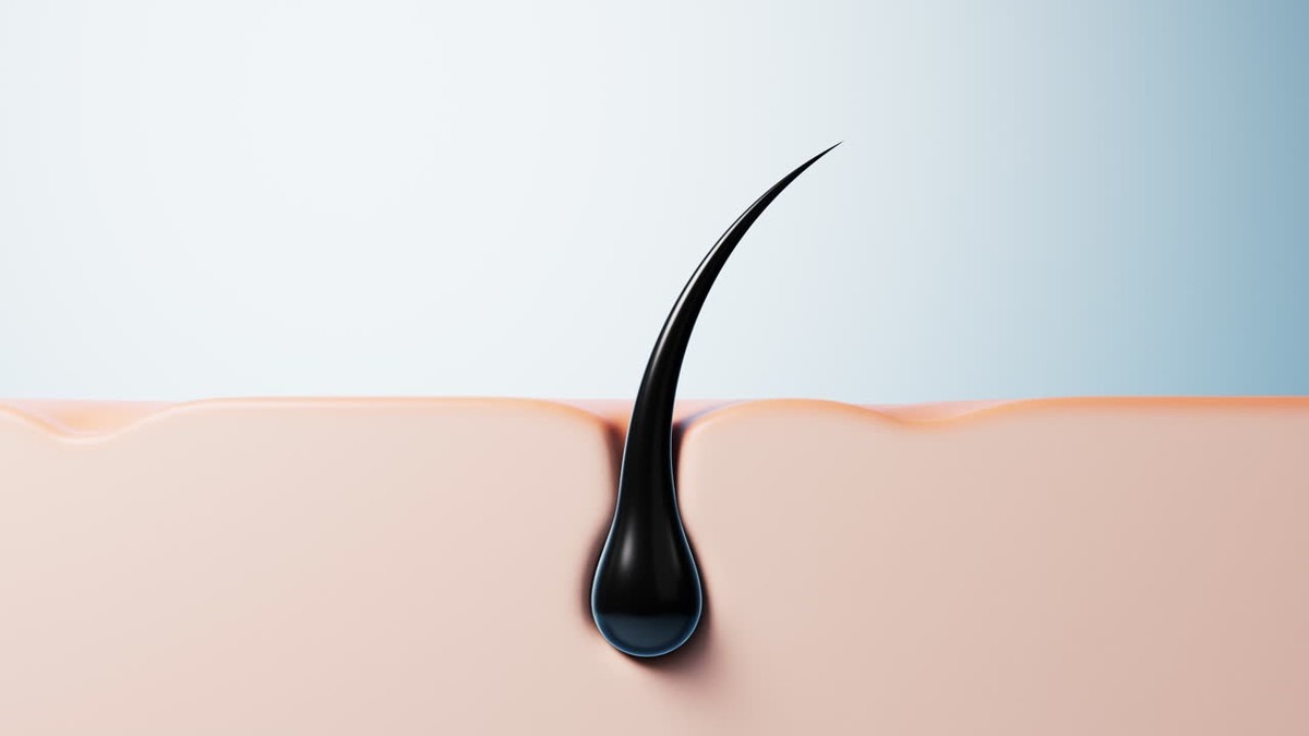 Vlasy bez péče: tajemství dlouhovlásky za pár korun měsíčně - image 2