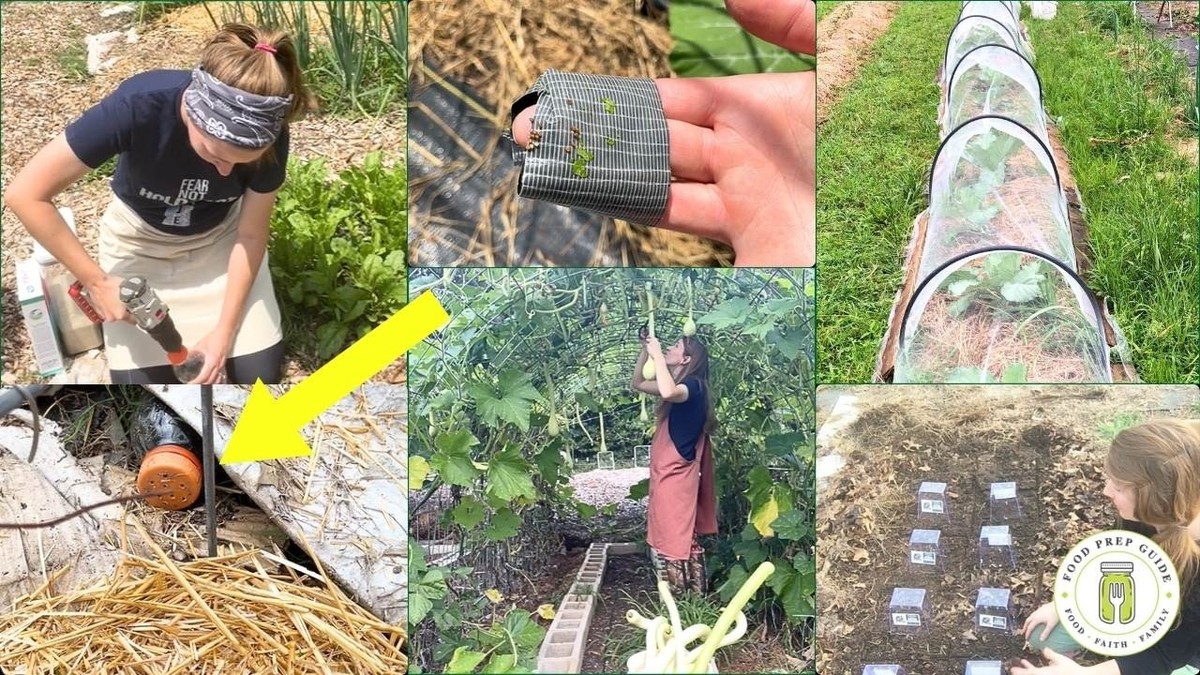 Zápalka mezi květináči zabraňuje plísni líp než drahé přípravky - image 2