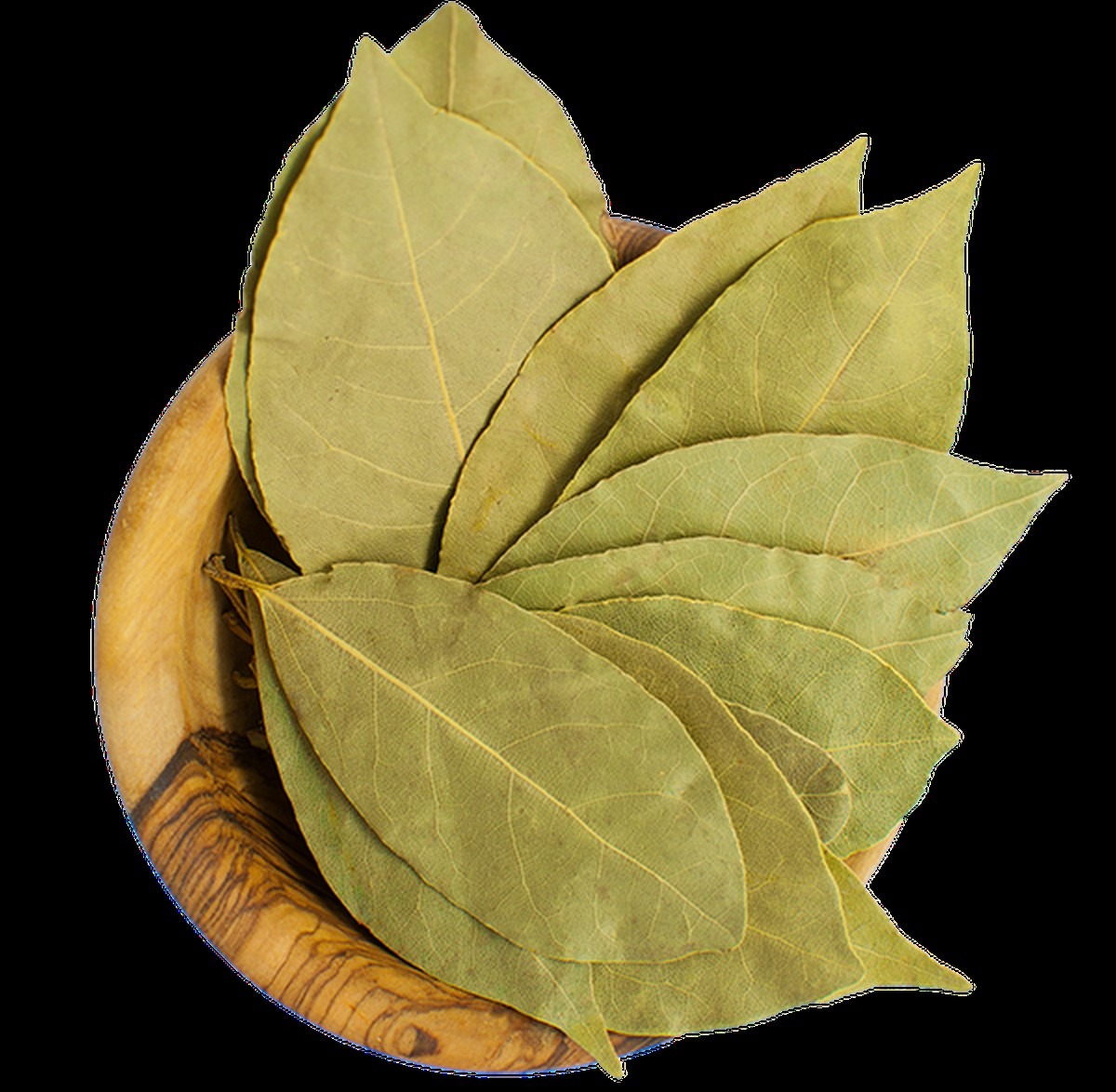 Bobkový list v mouce zabraňuje molům: trik starý 100 let - image 2