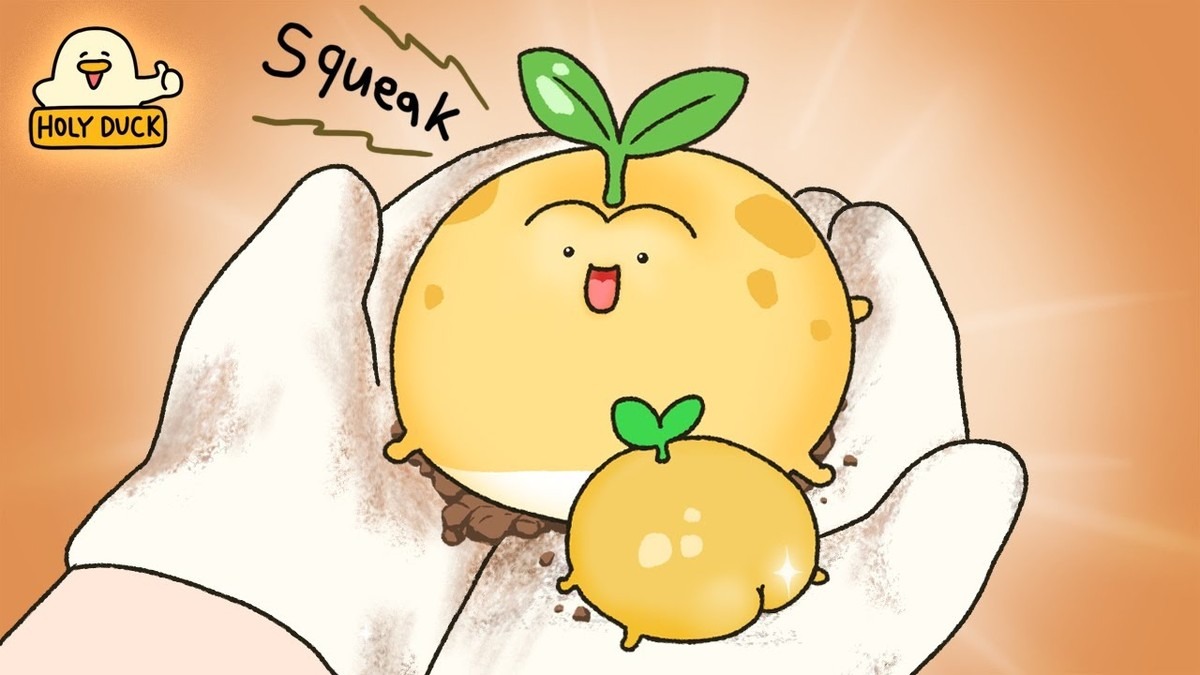 Brambory ve sprše: řešení, které nečekáte