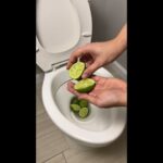 Citronová kůra v záchodě: nejjednoduší způsob, jak se zbavit pachů