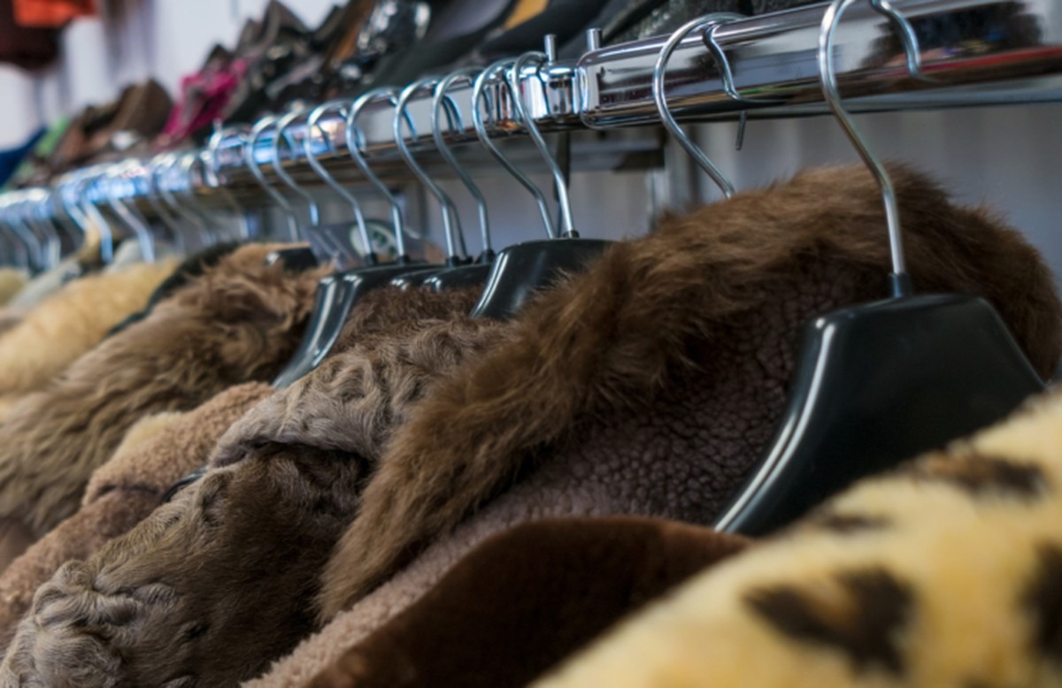 Citronový olej na kožich: jak získat zrcadlový lesk bez chemie - image 2