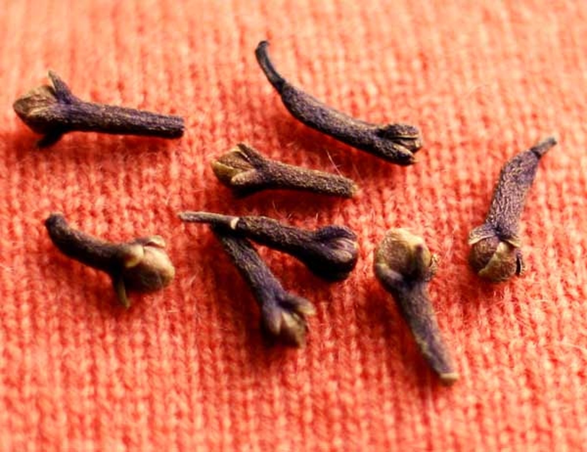 Hřebíček do zásuvky skříně vás zbaví nepříjemného pachu