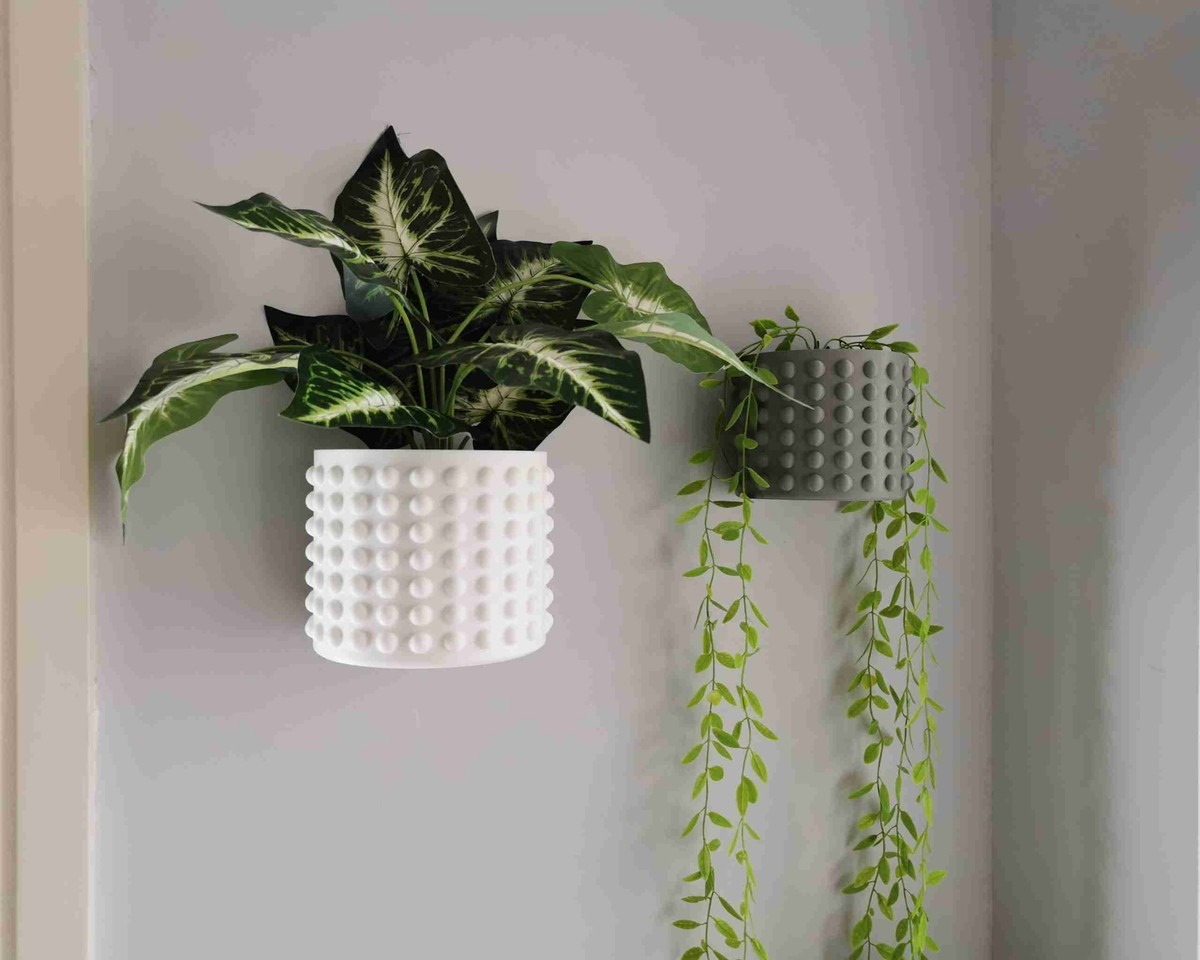 Hřebíky v květináčích: jednoduchý trik proti plísním na zdi