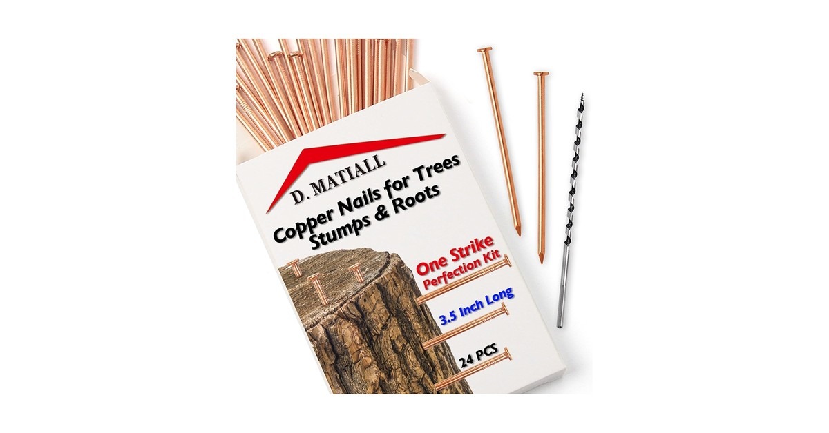 Hřebíky v květináči a běžná rostlina? Vaše zbraň proti škůdcům - image 1