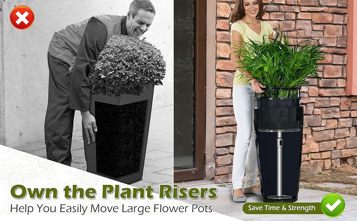 Hřebíky v květináčích: jednoduchý trik proti plísním na zdi - image 1