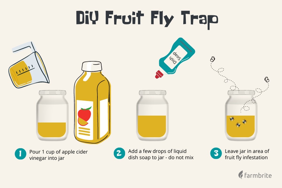 Kůra z banánu proti lístkovým mouškám. Prostě geniální - image 1