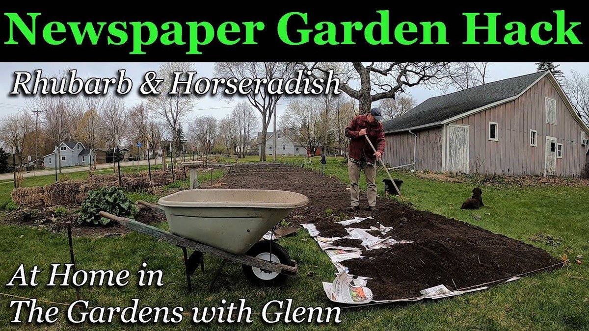 Novinový papír v květináčích zabrání plísni a hubení rostlin - image 1