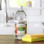 Obyčejný ocet v miski odstraní vlhkost z bytu bez chemie