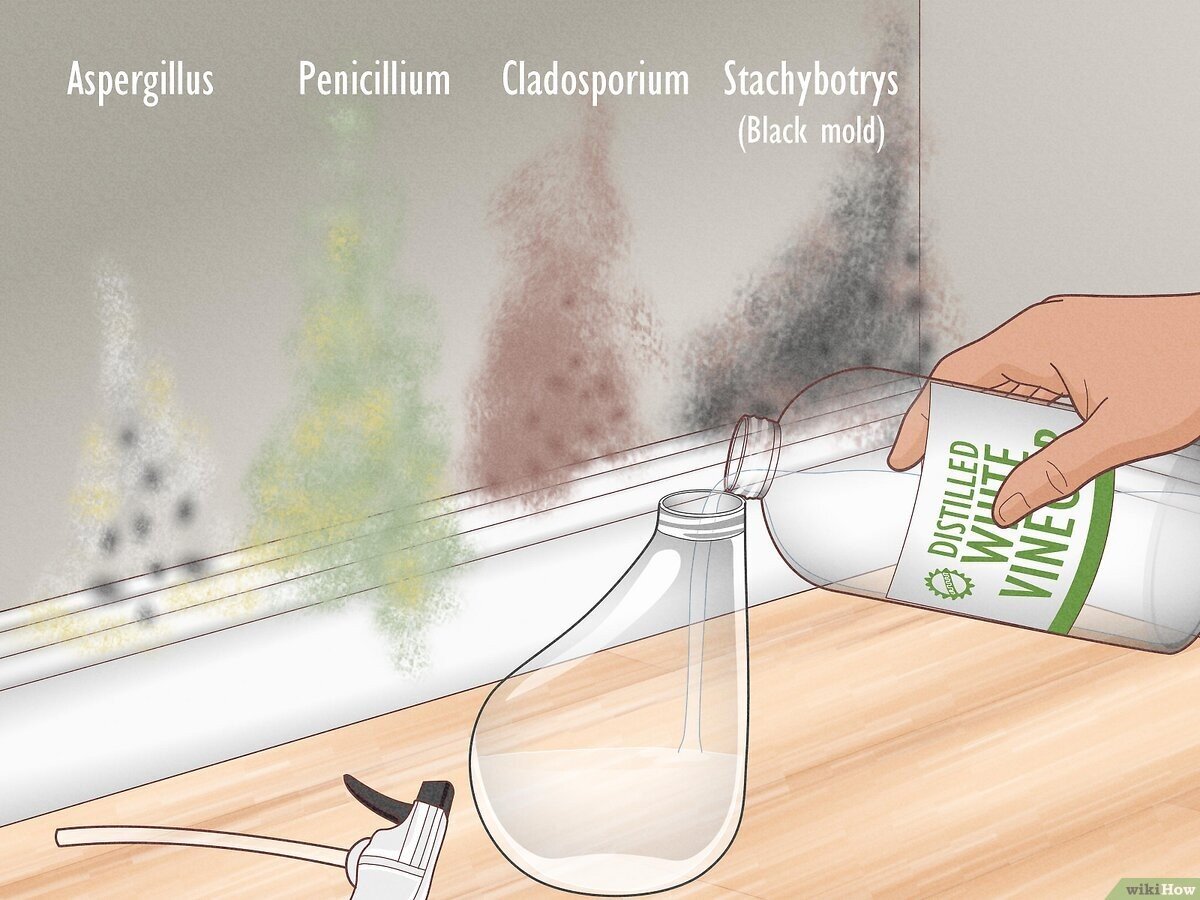 Obyčejný ocet v miski odstraní vlhkost z bytu bez chemie - image 1
