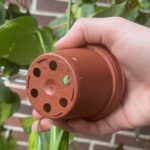 Papírová kapesníčka v květináči – proč to zaměnitelé zahradníci vědí