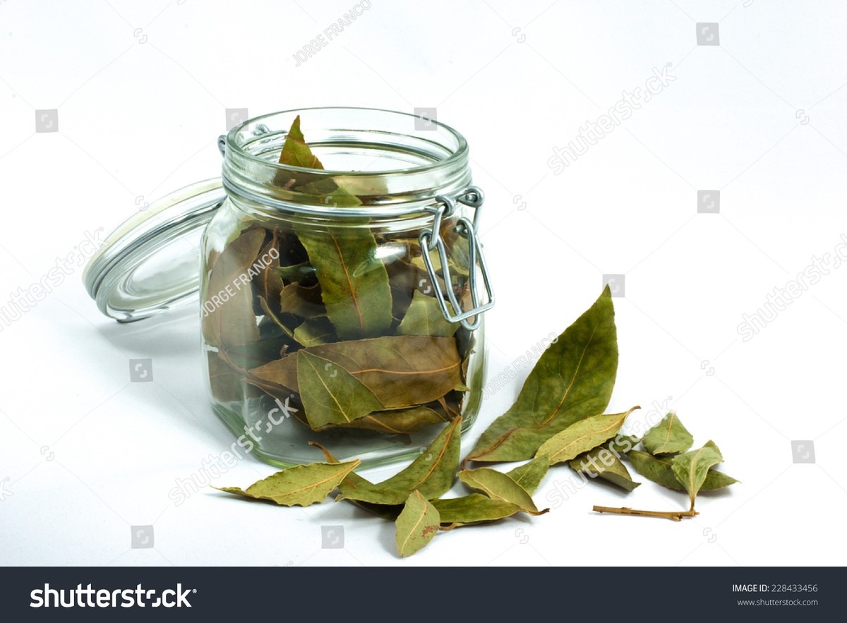 Položte bobkový list do mouky: trik starý sto let proti molům