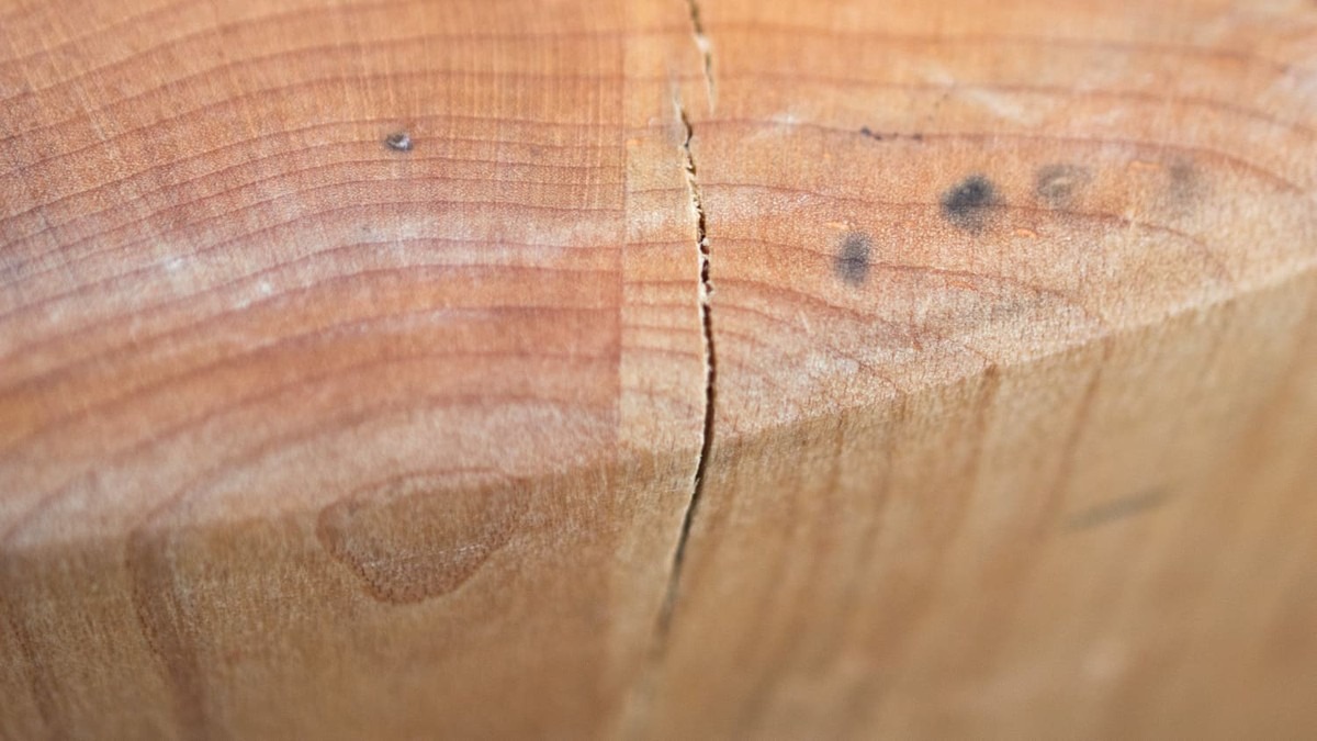 Tesař prozradí: proč vám prkna praskají a jak to zastavit - image 1