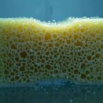 Vlhká houba v lednici: Jednoduchý trik proti zápachu