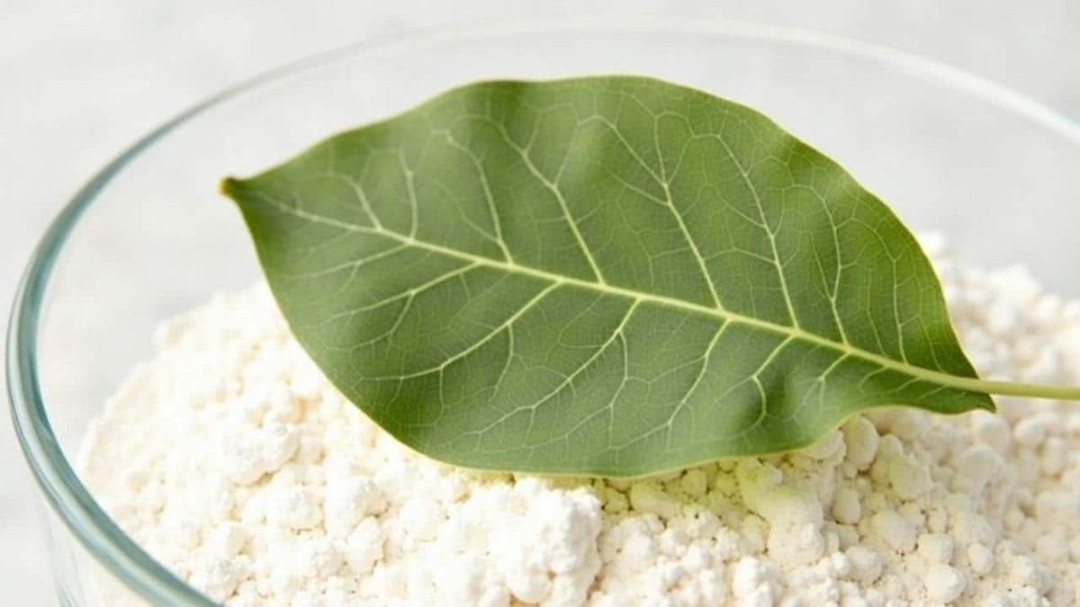 Vložte bobkový list do mouky: stoletá vynález proti škůdcům