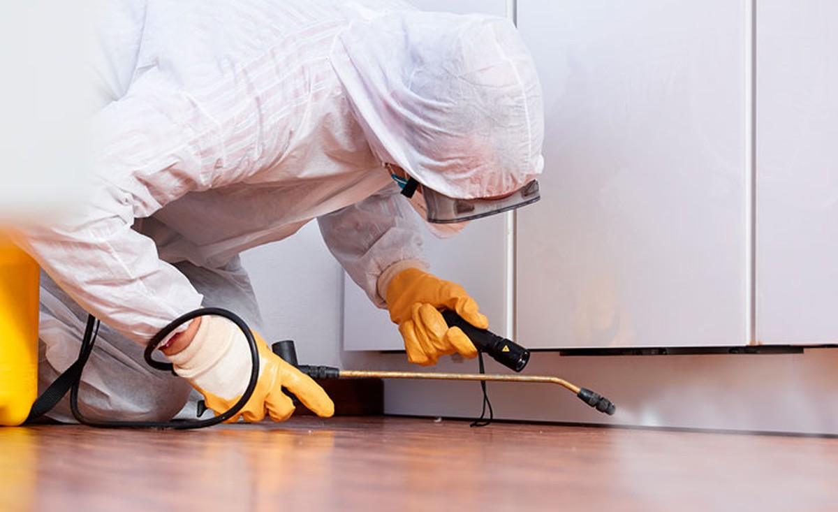 Vložte bobkový list do mouky a zapomeňte na škůdce - image 2