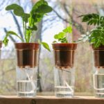 Obálka kolem květináče zachrání vám половину vody