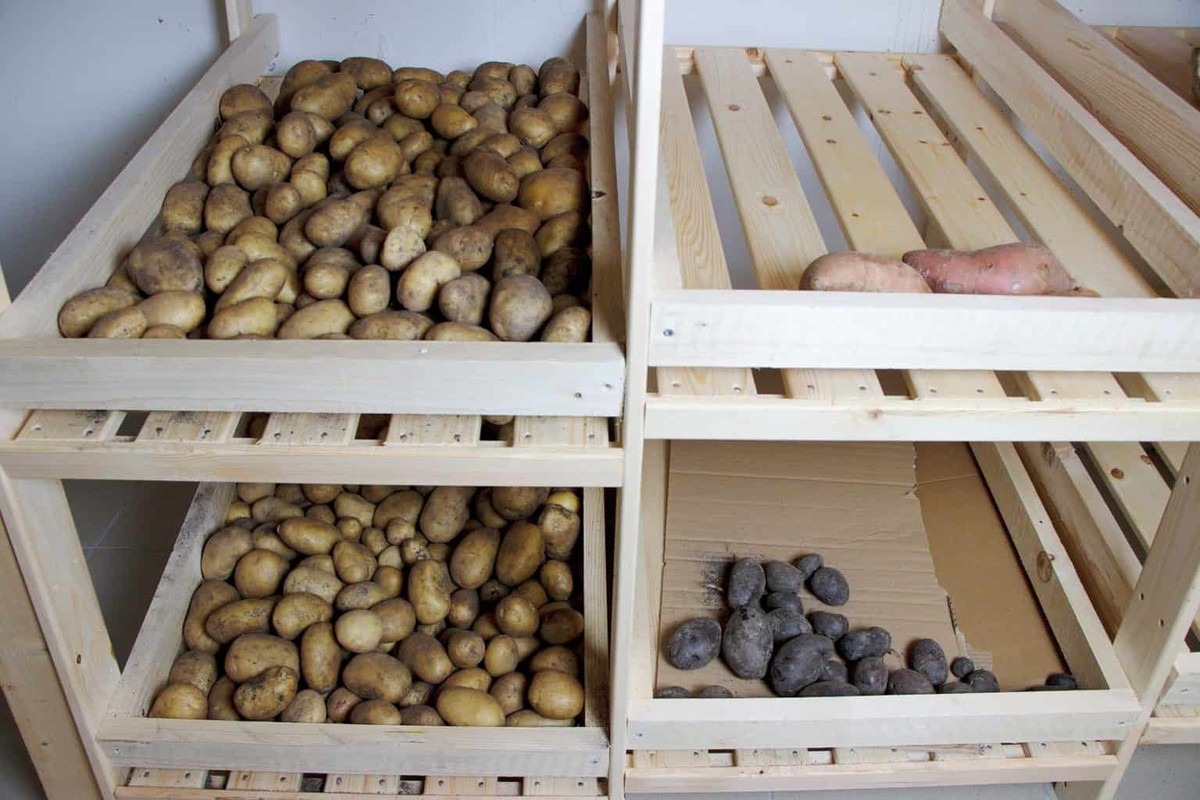 Papírový ručník v lednici prodlouží čerstvost zeleniny o týden - image 2