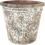 Sůl v květináči: starobylý trik proti plísni v bytě