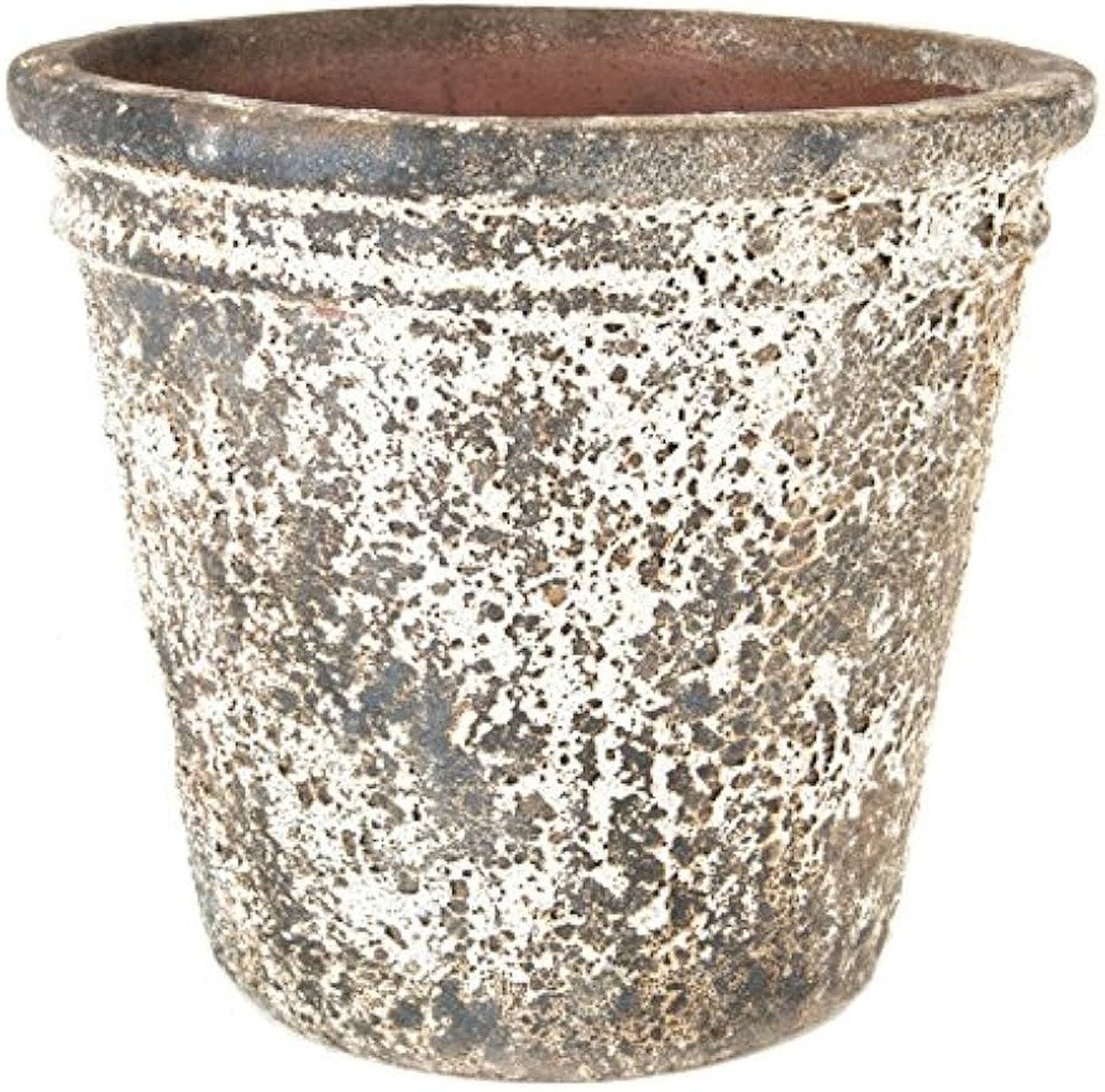 Sůl v květináči: starobylý trik proti plísni v bytě