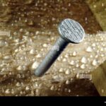 Tesařský sekret: proč nikdy nedávat hřebík do mokrého dřeva