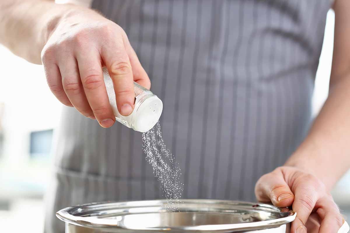 Vejce bez vaření: proč dát na dno hrnce sůl místo octa - image 2