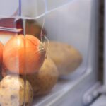 Cibule v lednici pohlcuje zápachy líp než aktivní uhlí