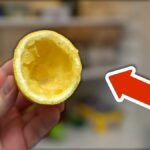 Citronová kůra v lednici eliminuje pachy lépe než balení za 200 Kč