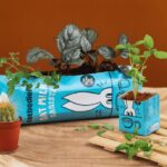 Krabicový obal od mléka jako květináč: recyklace, která vás překvapí