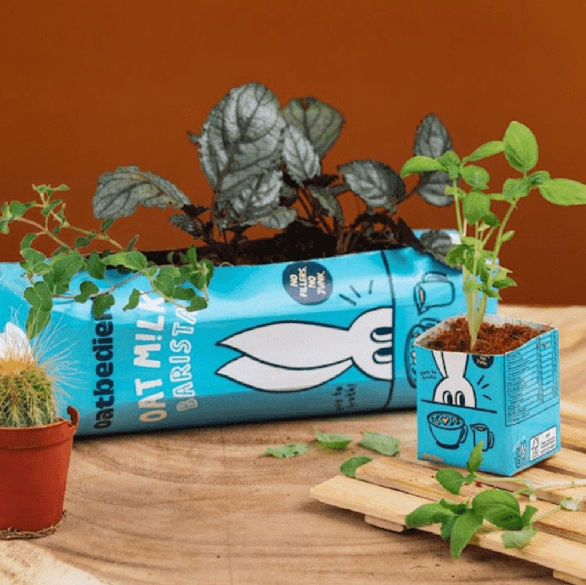 Krabicový obal od mléka jako květináč: recyklace, která vás překvapí