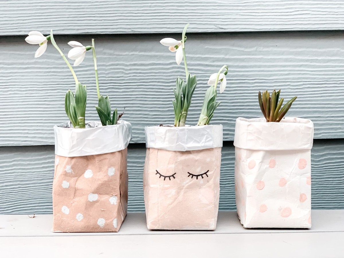 Krabicový obal od mléka jako květináč: recyklace, která vás překvapí - image 1