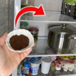 Případu bez sody – jak odstranit nepříjemný zápach z lednice za 10 minut