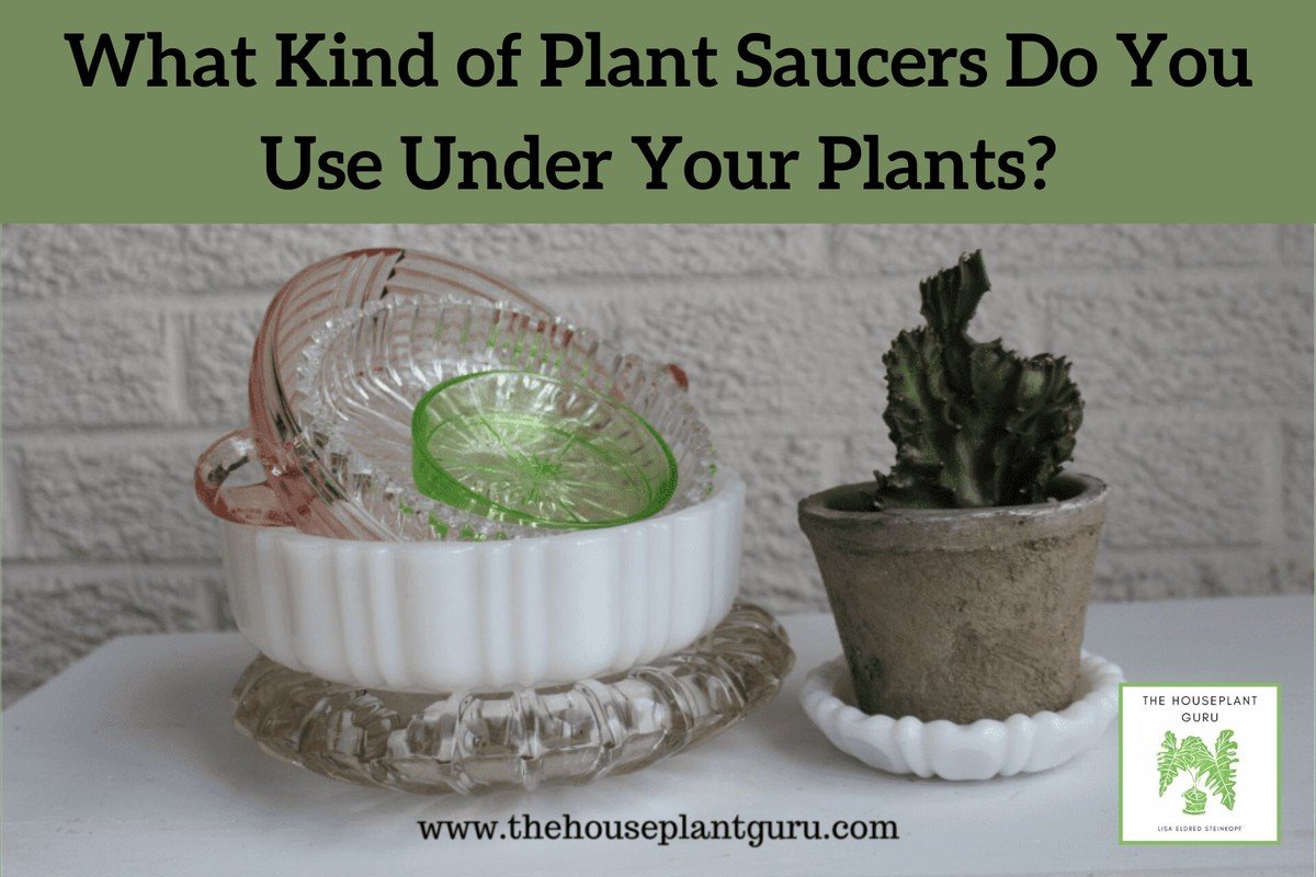 Staré ponožky jako savé podložky: geniální řešení pro kapající květináče - image 1