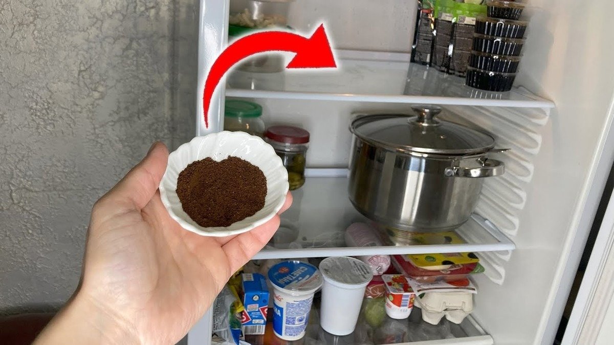 Toaletní papír do ledničky? Vědci vysvětlují, proč to pohlcuje pachy