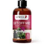 Vložte bobkový list do mouky a zapomeňte na molice na věky